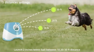 Ball Launcher Toy For Dogs Pet Products Dog Toys Keep Healthy Automatic Throw Pet 3 Distances Settings For Indoor Outdoor play