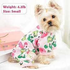 🌞 elanique.shop 2025 summer collection has arrived!