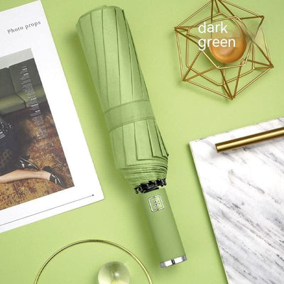 16-bone Automatic Umbrella For Men And Women