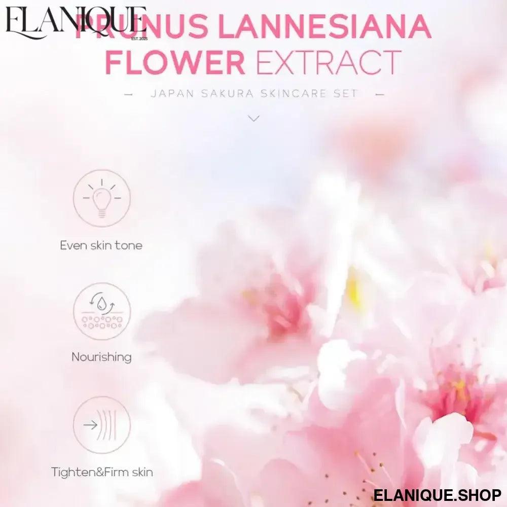 Sakura Facial Skin Care Set - Complete Japanese Beauty Ritual - Elanique